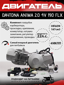 Двигатель DAYTONA ANIMA 2.0 4V 190 FLX